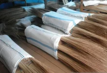 Intip Cuan dari Ekspor Lidi Nipah dan Lidi Sawit Indonesia 38 ekspor lidi nipah