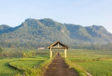 Begini Alasan Pemerintah Impor Beras 1 Juta Ton Jelang Akhir Tahun, Bagaimana Nasib Petani ? 36 impor beras 1 juta ton