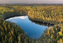 5 Negara dengan Hutan Terkelola Paling Berkelanjutan 56 Bericuan