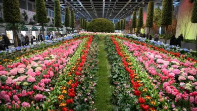 Foto: Mengunjungi Pameran Pertanian Internasional di Jerman 49 Bericuan