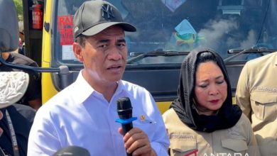 Pemerintah Beri Gaji pada Petani untuk Bangkitkan Sawah Terdampak Bencana di Sumatera 1 Bericuan