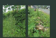 Bantul Uji Coba Biosaka Level 1 untuk Pertanian 43 biosaka level 1