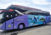 Jadwal Bus AKAP Bali-Jawa Rabu (4/3), Tiket Mudik Segera Dibuka! 46 Bericuan