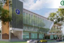 Penelitian IPB Ungkap Potensi Besar Sagu di 7 Kecamatan SBT 48 Bericuan