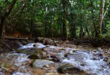 6 destinasi wisata Singkawang paling populer untuk libur Lebaran 2026, nomor 2 wajib dikunjungi 7 Bericuan