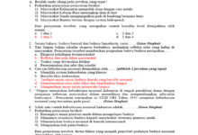 Soal PAT/SAT/UAS Pendidikan Pancasila Kelas 8 SMP Semester 2 Kurikulum Merdeka 2026 22 Bericuan