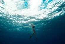 Es laut yang mencair, mengubah ekosistem lautan dalam 7 Bericuan